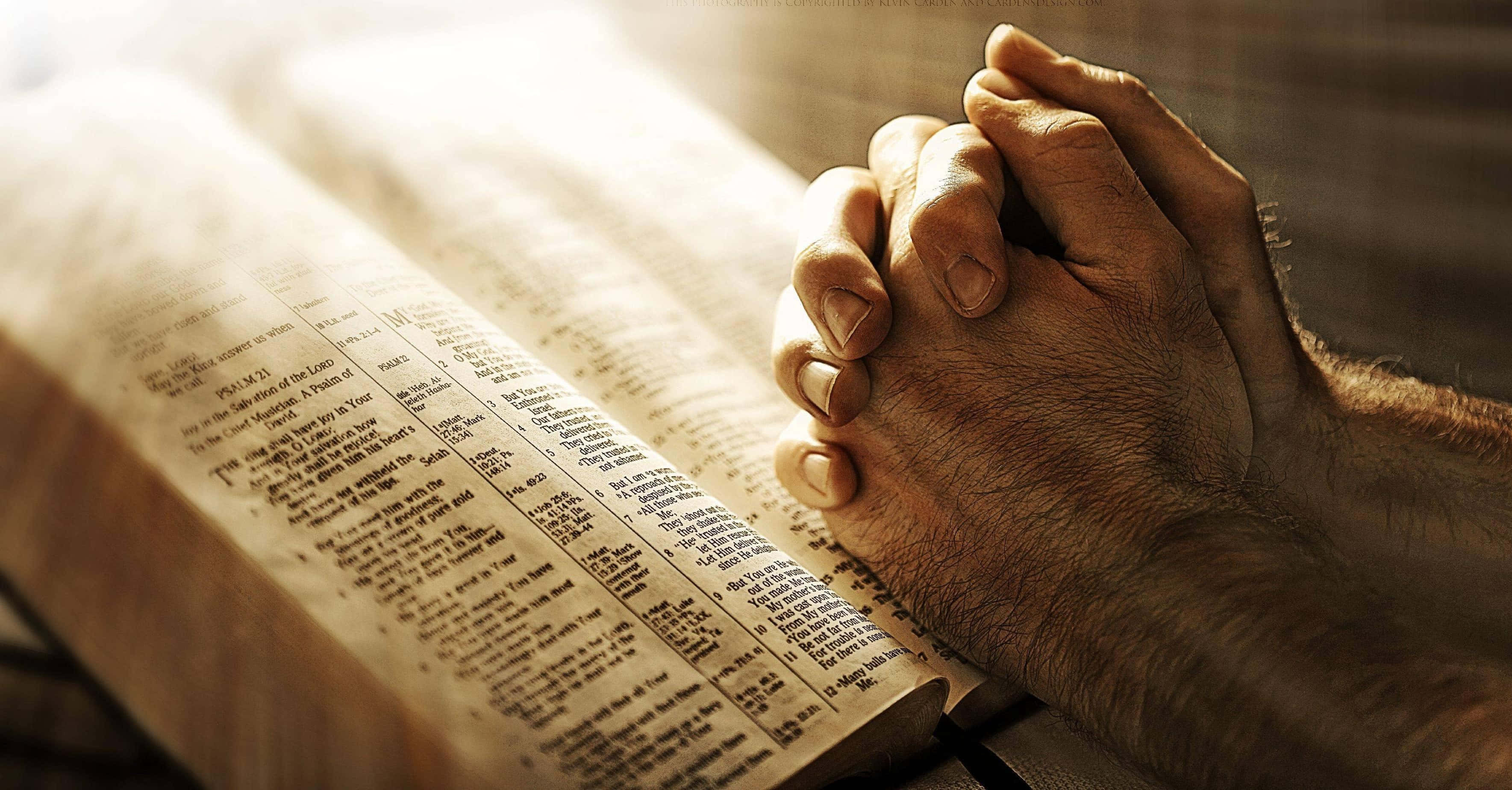 Prayer 桌布 壁紙 — 祈禱中合十的雙手安放在一本打開的聖經上，沐浴在溫暖的金色陽光中。