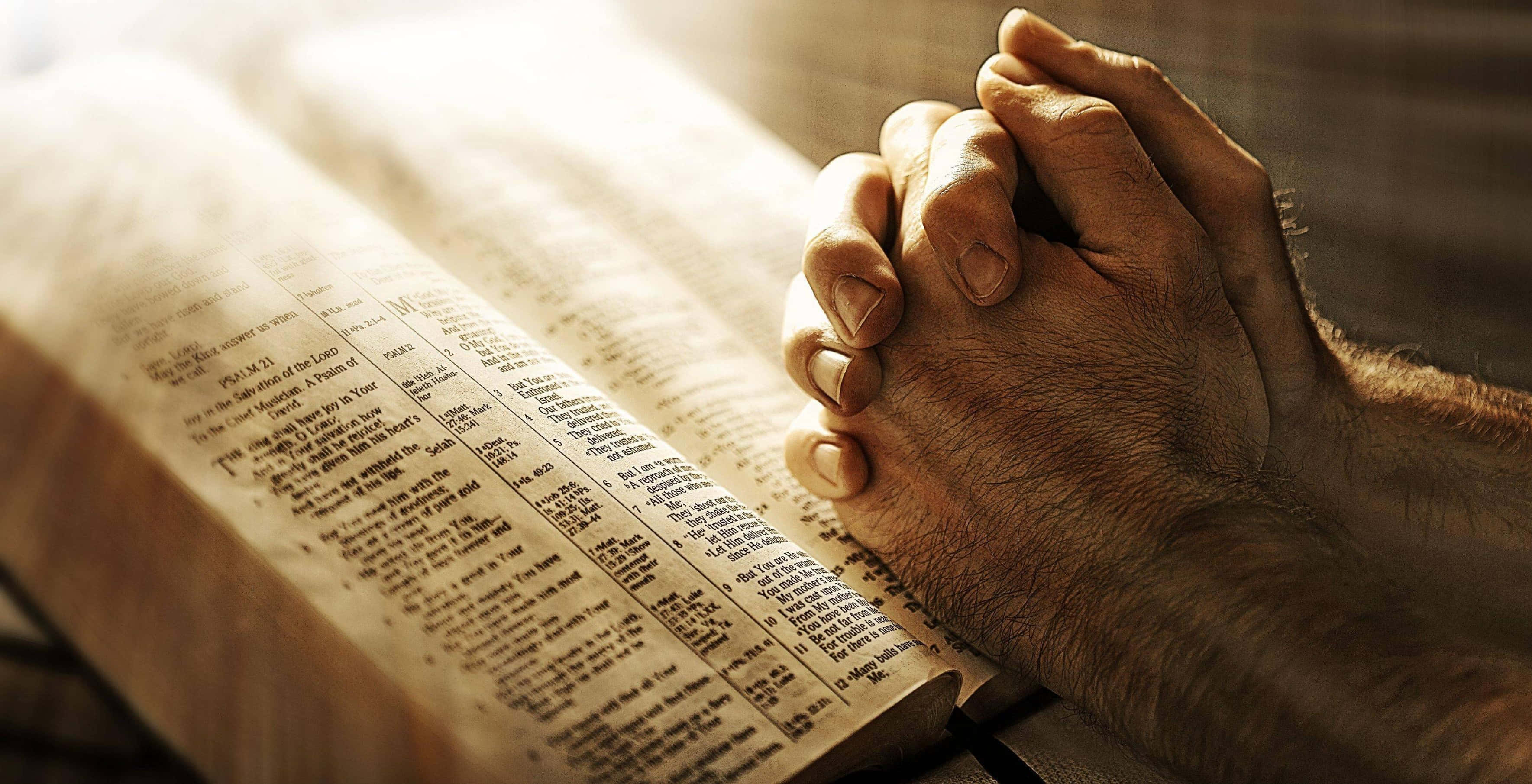 Praying 桌布 壁紙 — 祈禱中緊握的雙手放在一本打開的聖經上，沐浴在溫暖的金色陽光中。