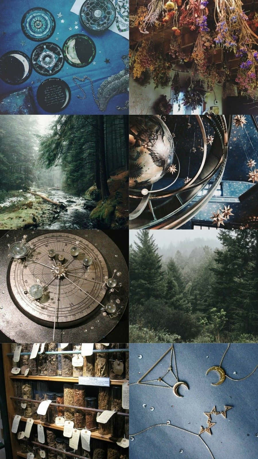 Witch Aesthetic 桌布 壁紙 — 神秘拼貼畫，融合天體符號、乾燥花、古董樂器和森林場景，喚起迷人與驚奇之感。