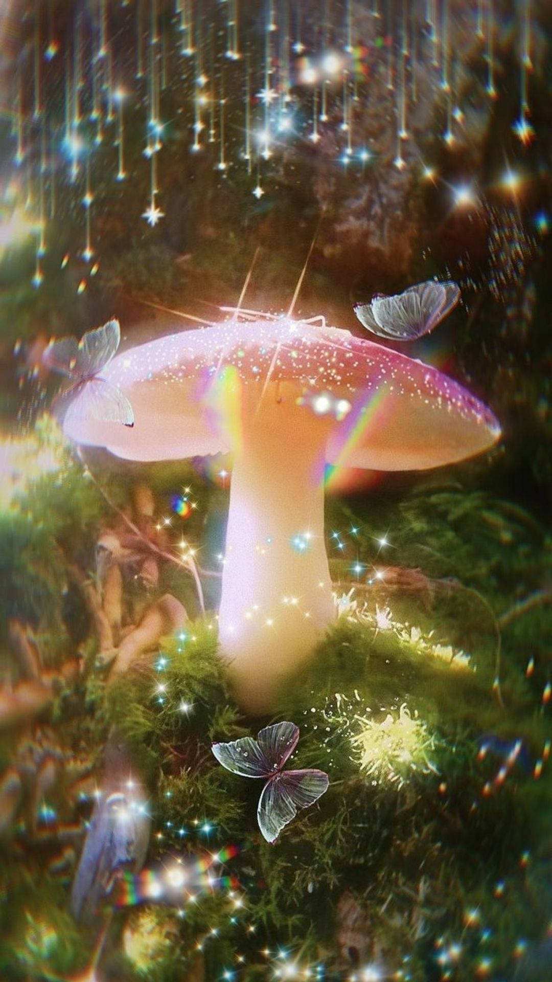仙女美學 桌布 壁紙 — 神秘森林中發光的彩虹蘑菇，周圍有閃爍的星星和蝴蝶飛舞。