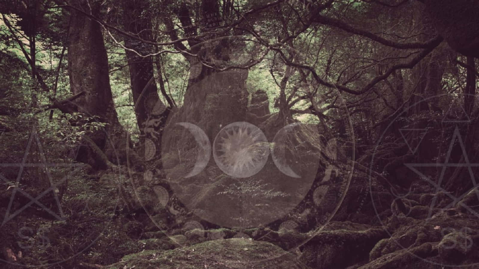 Witchy 桌布 壁紙 — 神秘森林場景，古樹與發光的奧術符號疊加在苔蘚地面上。