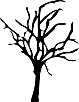 神秘森林小徑 — 森林 壁紙