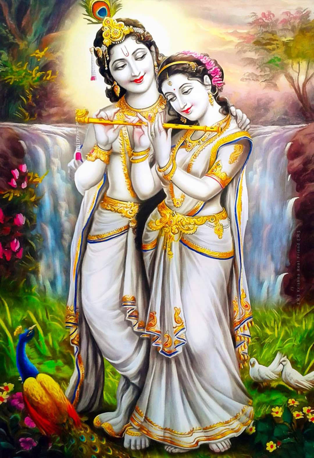 radha krishna HD 桌布 壁紙 — 神聖人物克里希納和拉達身穿白色和金色服飾，在瀑布旁與孔雀和鴿子共享笛子時刻，身處茂盛花園中。