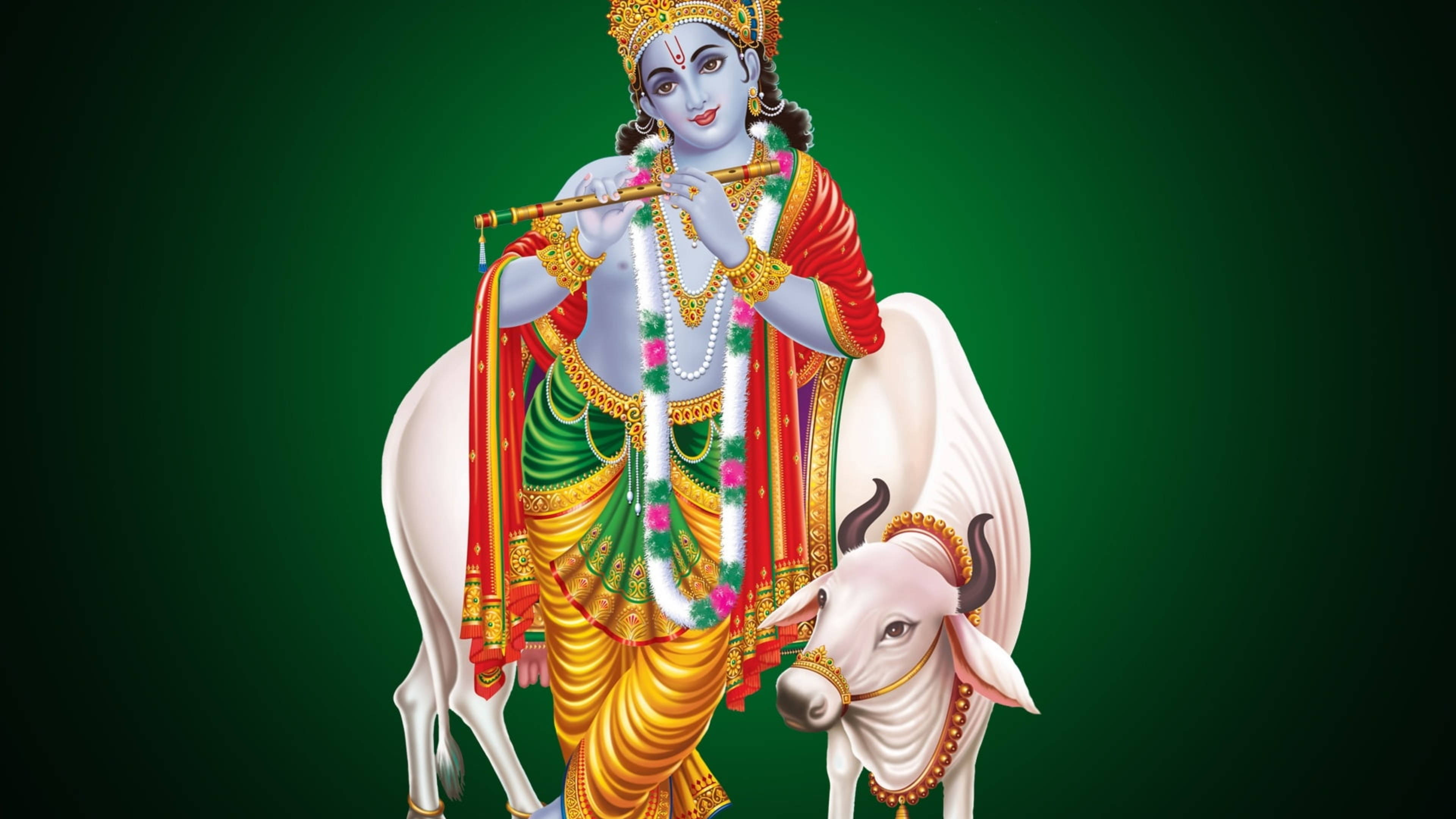 krishna ji 桌布 壁紙 — 神聖人物克里希納穿著鮮豔服飾，坐在裝飾華麗的白牛上吹奏長笛，背景為深綠色。