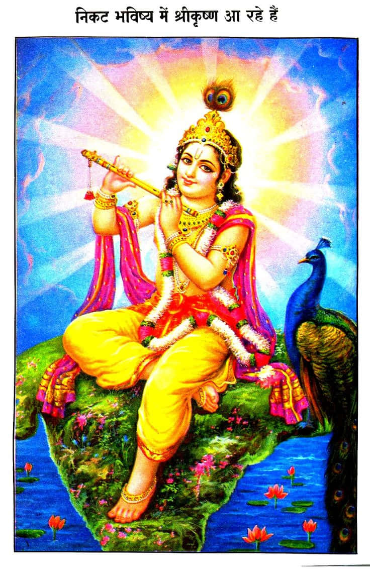 Brahma Kumaris 桌布 壁紙 — 神聖的克里希納在佈滿蓮花的岩石上吹奏長笛，一隻孔雀棲息在他身旁，沐浴在燦爛的陽光下。