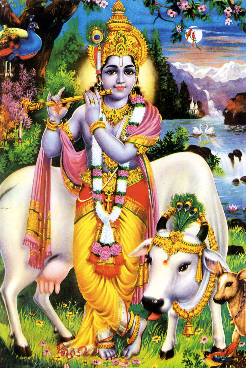 Hindu God 桌布 壁紙 — 神聖的克里希納在牛和孔雀旁邊吹笛，背景是充滿活力的花園，有山脈和天鵝。