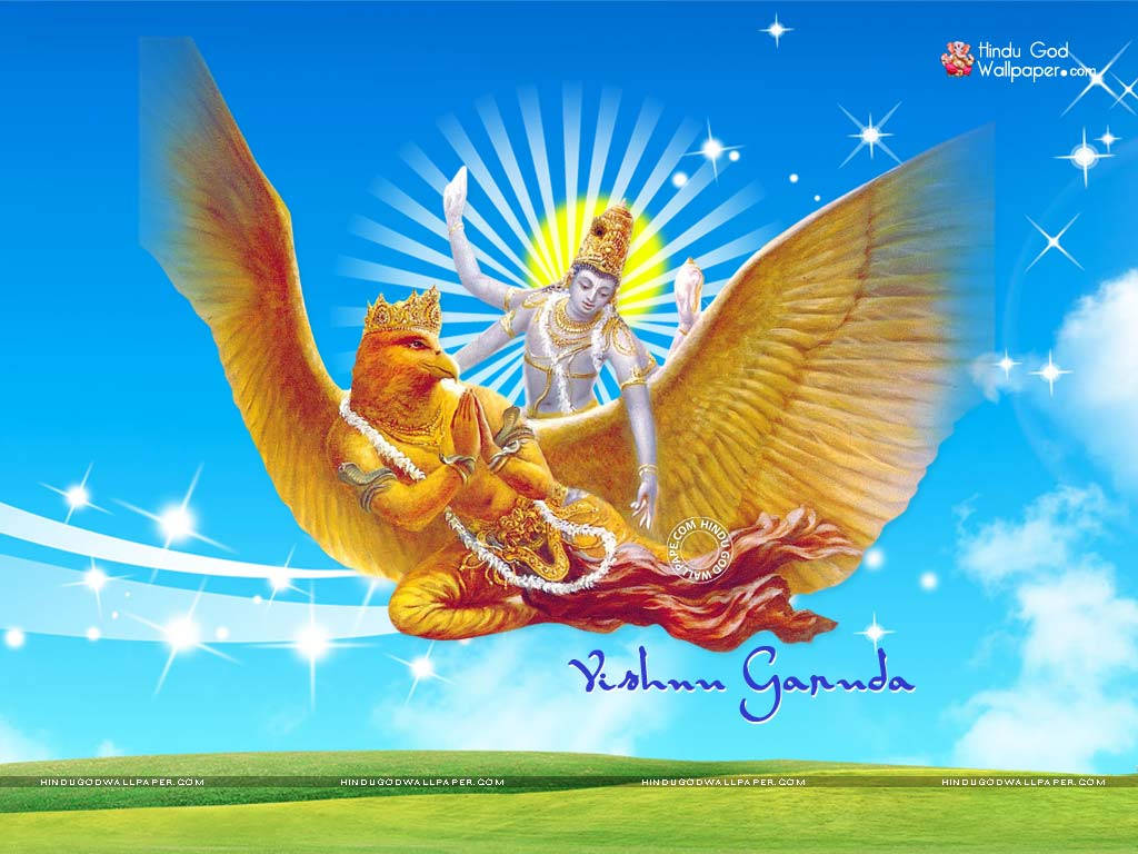 Vishnu 桌布 壁紙 — 神聖的印度教神祇毗濕奴騎著金鷹迦樓羅，背景是明亮的藍天，閃爍的星星和下面的綠色山丘。