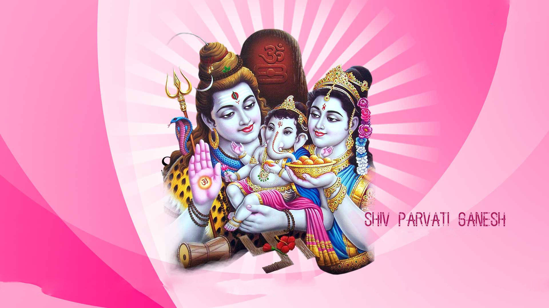 Shiv Parivar 桌布 壁紙 — 神聖的印度教神祇濕婆帕爾瓦蒂和象頭神甘尼許，身著華麗金色服飾，在明亮的粉紅色背景前散發優雅氣質。