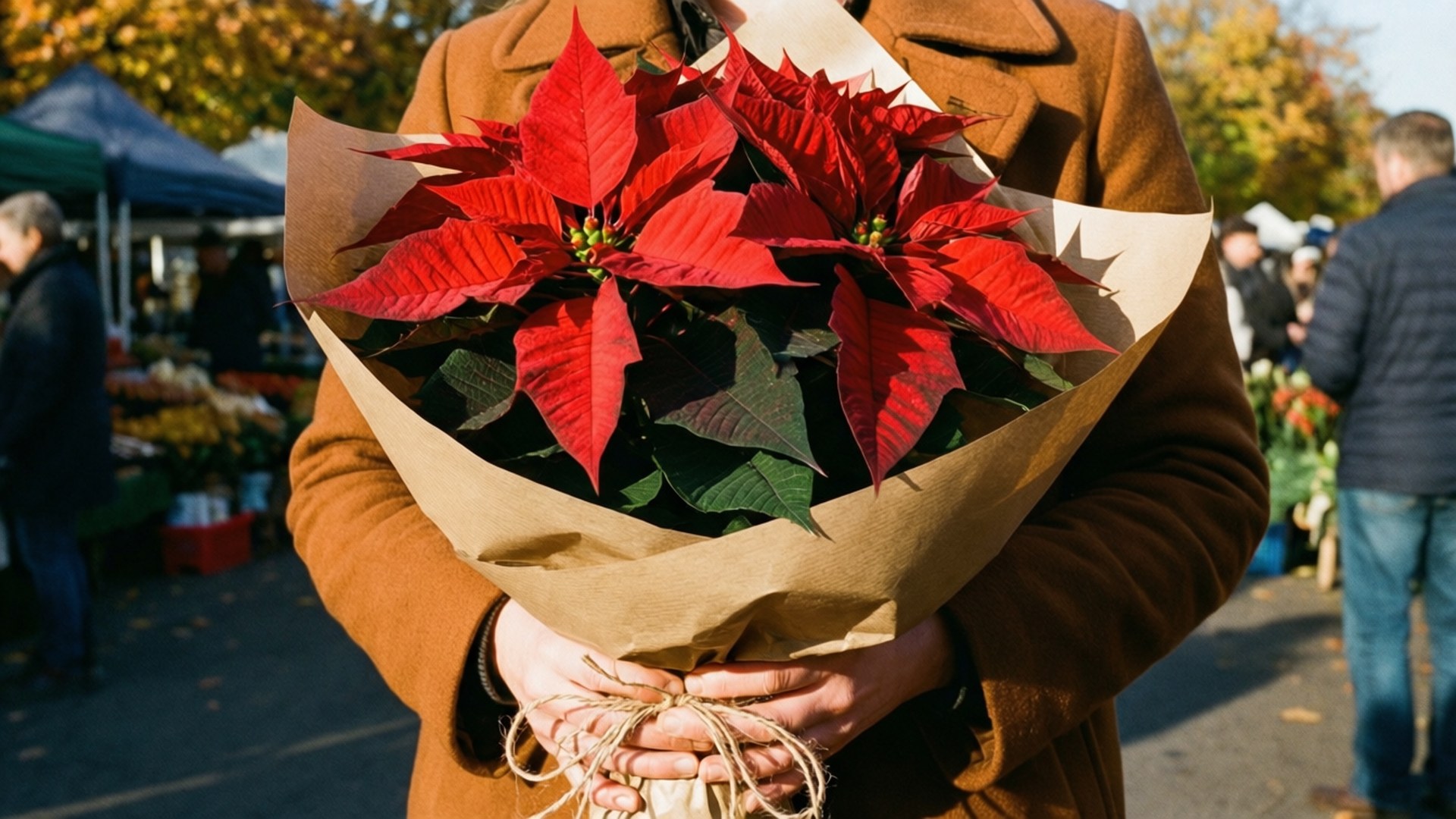 秋光中的花束 壁紙