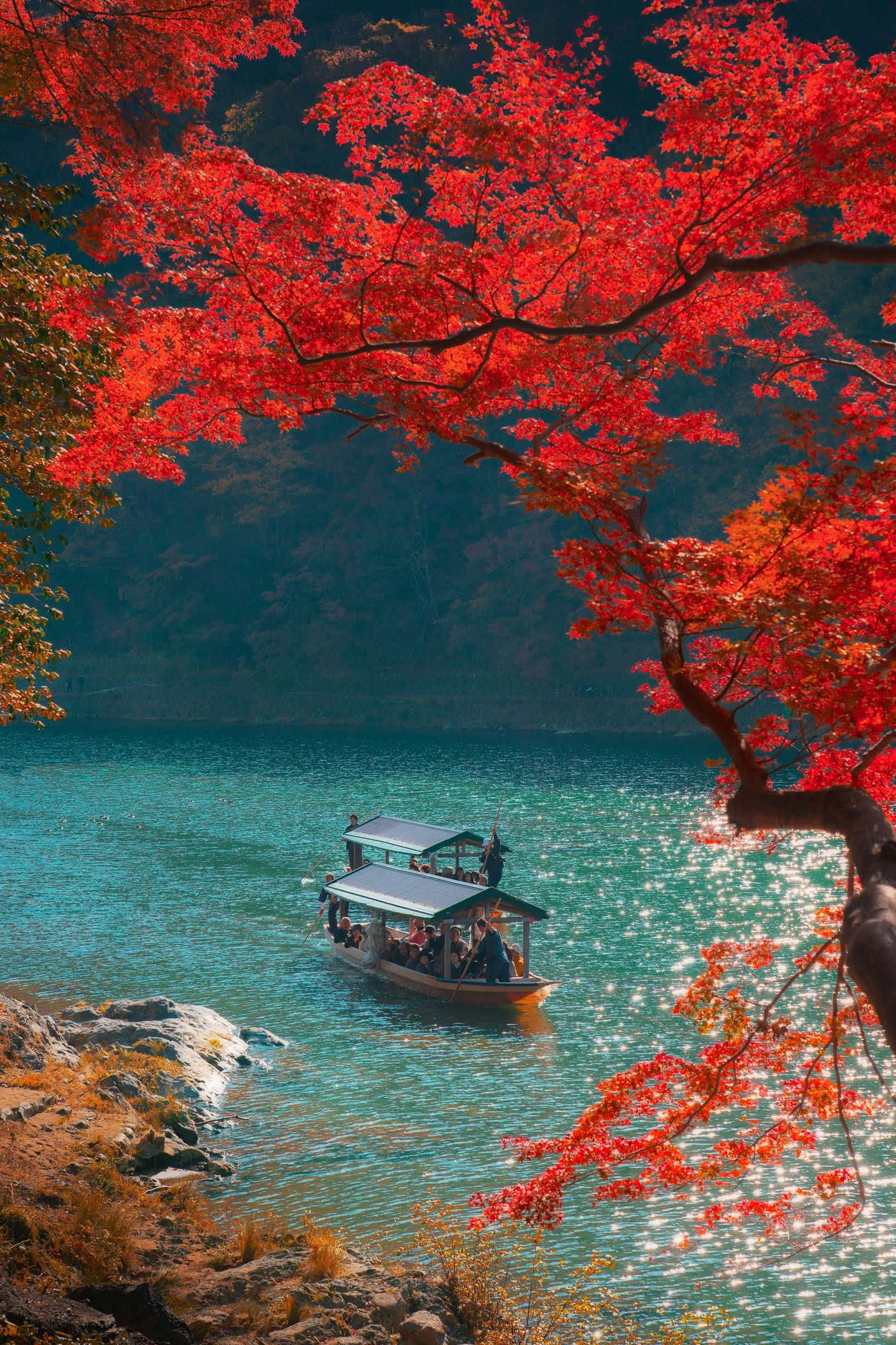 Beautiful Autumn 桌布 壁紙 — 秋天，一艘船在火紅楓葉的樹冠下，滑過碧綠色的水面。