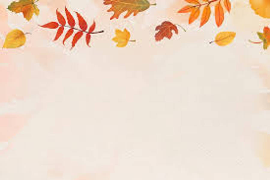 春天 桌布 壁紙 — 秋天樹葉以溫暖的紅色、橙色和黃色框住柔軟紋理奶油色背景的頂部。