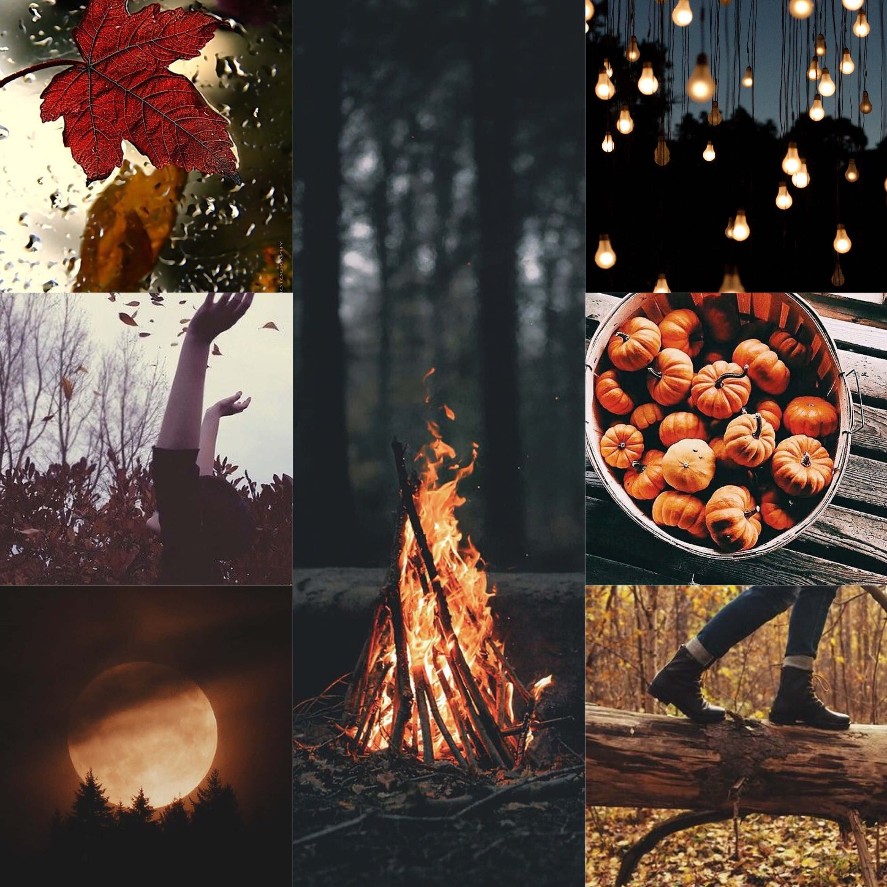 Pumpkin 桌布 壁紙 — 秋季場景拼貼：雨濕玻璃上的紅葉、森林中的營火、懸掛的燈泡、南瓜桶、月出和圓木上的靴子。