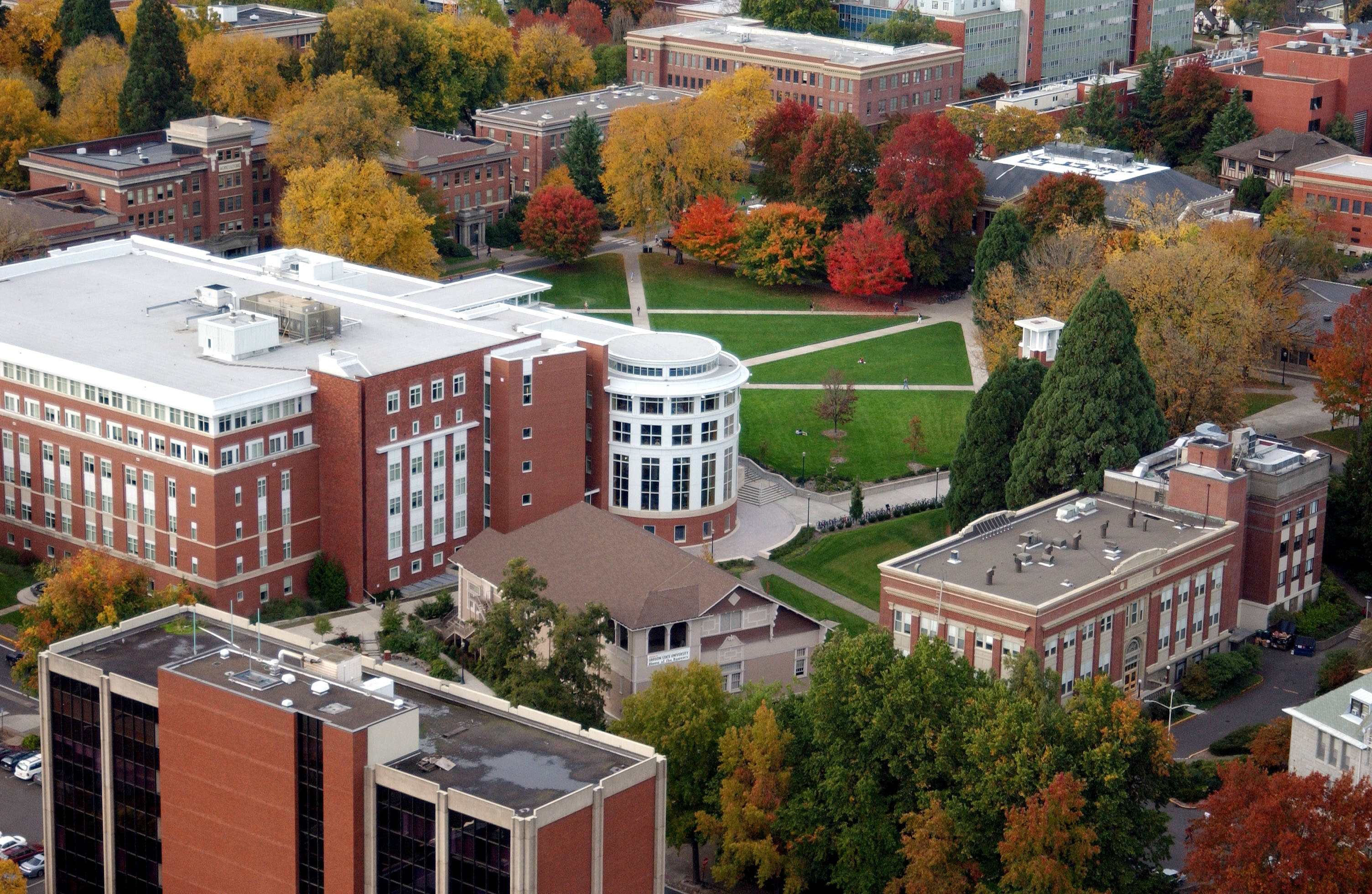 Oregon 桌布 壁紙 — 秋季大學校園的鳥瞰圖，磚造建築被鮮豔的紅色、黃色和橙色樹葉環繞。