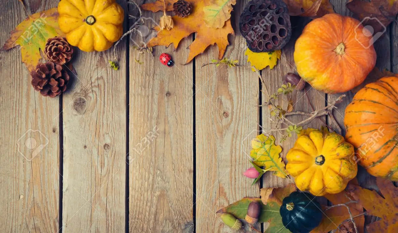 Fall Thanksgiving 桌布 壁紙 — 秋季豐收場景，南瓜、松果和樹葉擺放在風化的木板上。