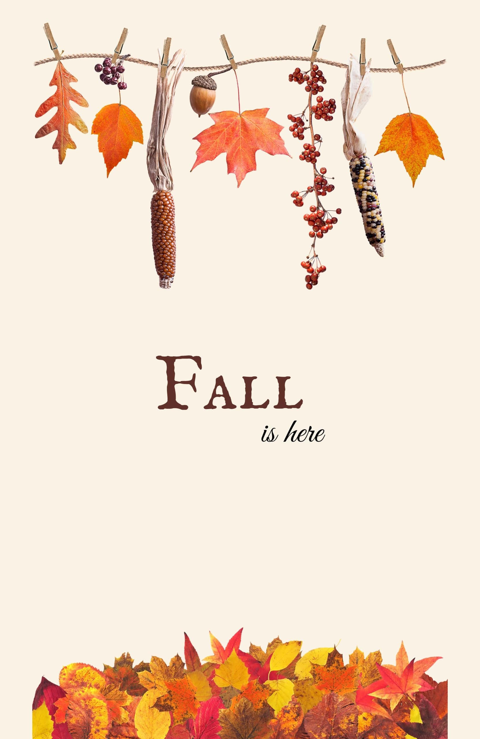 Best Fall 桌布 壁紙 — 秋季豐收裝飾，鮮豔的樹葉、玉米穗和漿果掛在繩子上，背景是柔和的米色。