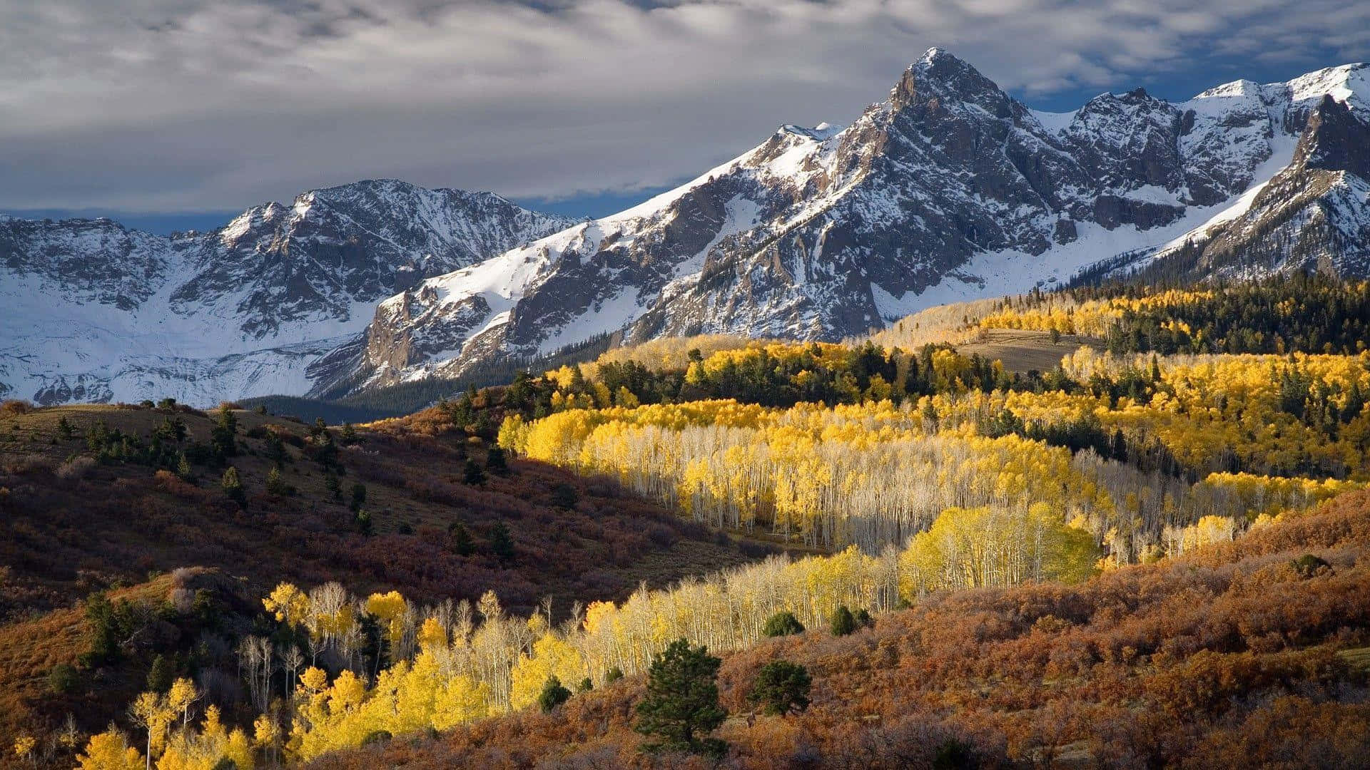 Aspen Colorado 桌布 壁紙 — 秋日多雲的天空下，白雪覆蓋的山峰聳立在金色白楊林後方。
