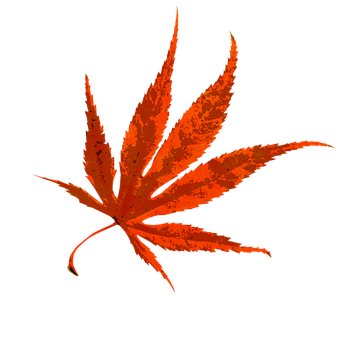 秋日楓紅 壁紙