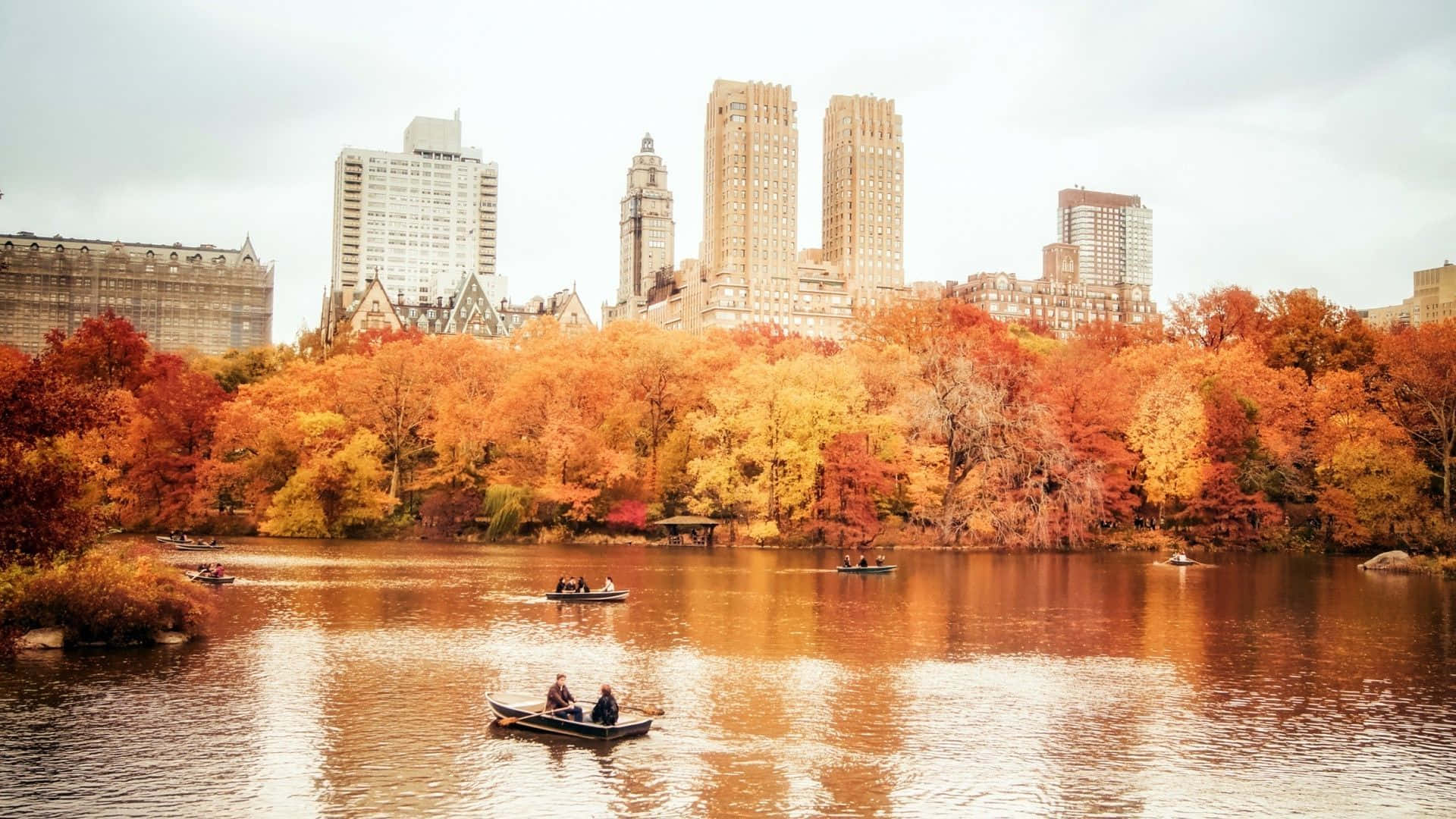 Fall City 桌布 壁紙 — 秋葉在寧靜的湖邊燃燒成橙色和金色，背景中有划艇和城市摩天大樓。