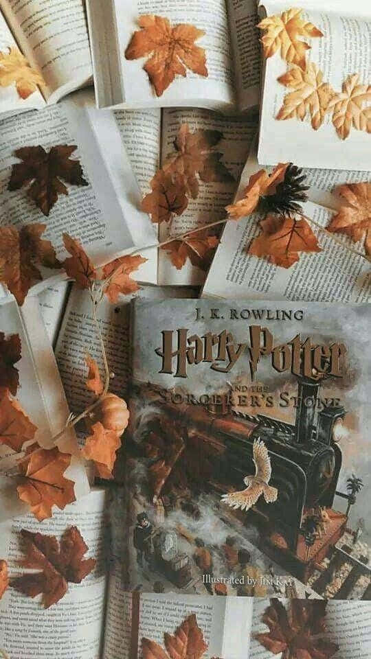 Pretty Fall 桌布 壁紙 — 秋葉落在打開的哈利波特書上，營造出舒適的文學場景。