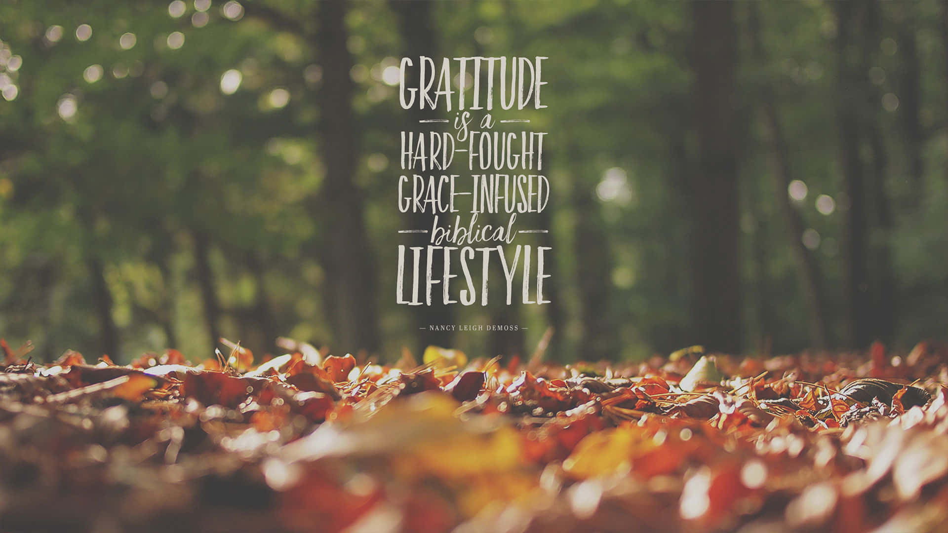 Gratitude 桌布 壁紙 — 秋葉鋪滿陽光普照的森林地面，下方優雅的白色文字宣告感恩作為聖經生活方式。
