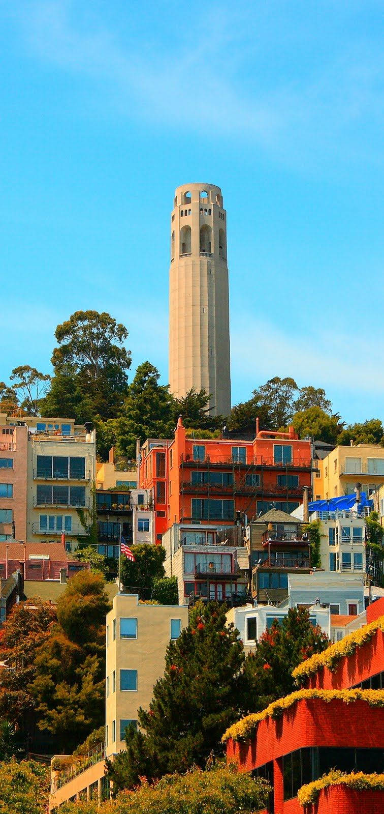 san francisco iPhone 桌布 壁紙 — 科伊特塔在晴朗的藍天下，聳立在色彩繽紛的舊金山山坡房屋之上。
