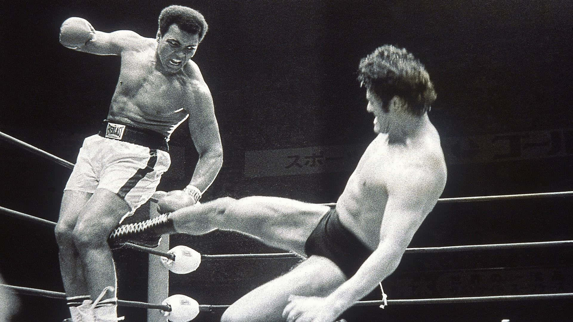 martial arts 桌布 壁紙 — 穆罕默德·阿里在戲劇性的黑白拳擊比賽中向對手發出強力一踢。