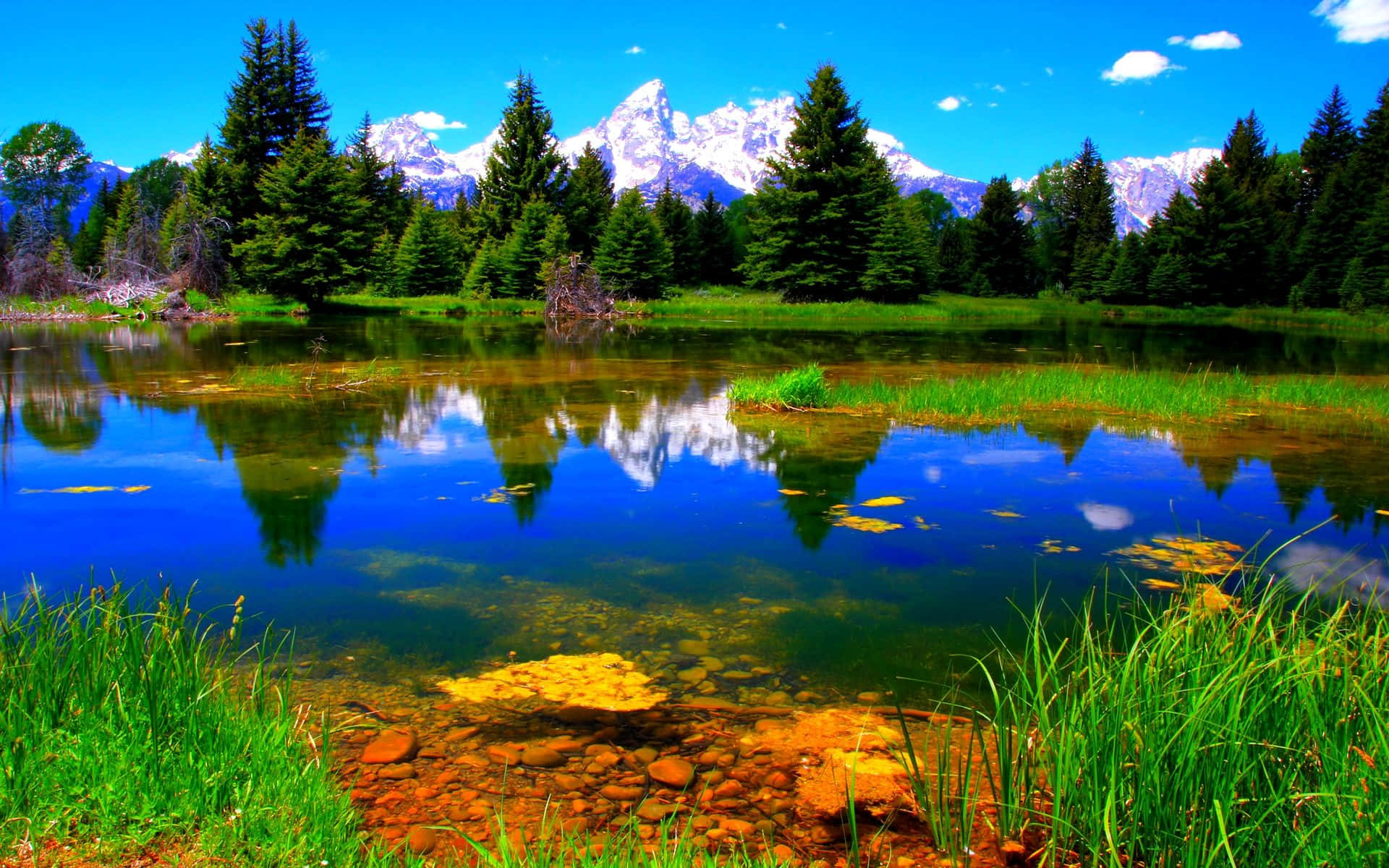 Beautiful Lake 桌布 壁紙 — 積雪的山峰倒映在清澈見底的池塘中，四周環繞著茂密的綠草和常青樹，頭頂是明亮的藍天。