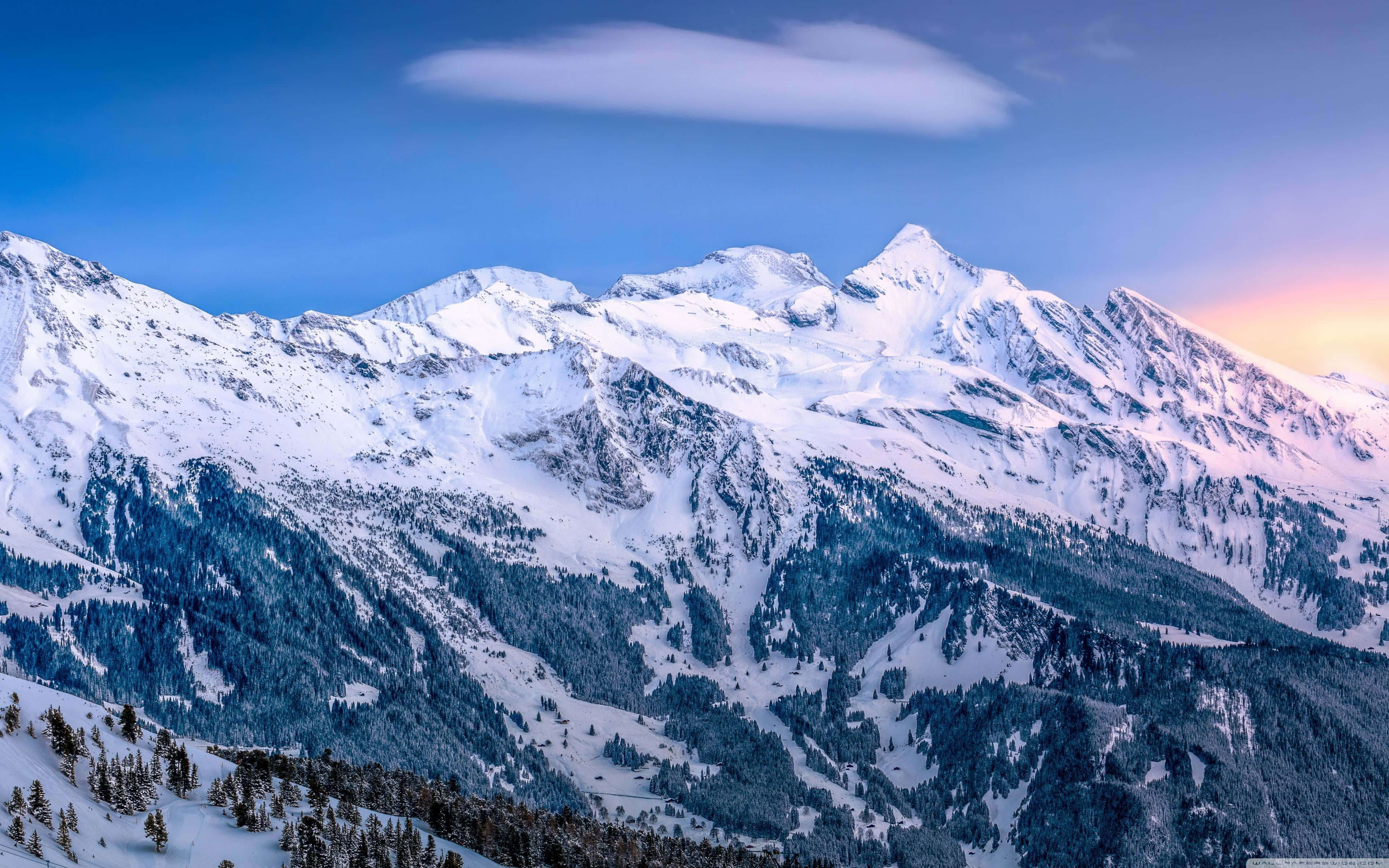 Ski Mountain 桌布 壁紙 — 積雪的山峰刺穿暮色天空，在常綠森林上空呈現柔和的粉紅和藍色調。