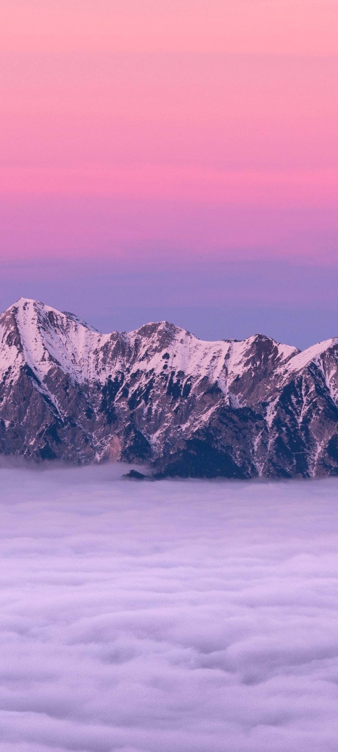 雲朵 桌布 壁紙 — 積雪的山峰在充滿活力的粉紅色和紫色日落天空下，聳立於雲海之上。