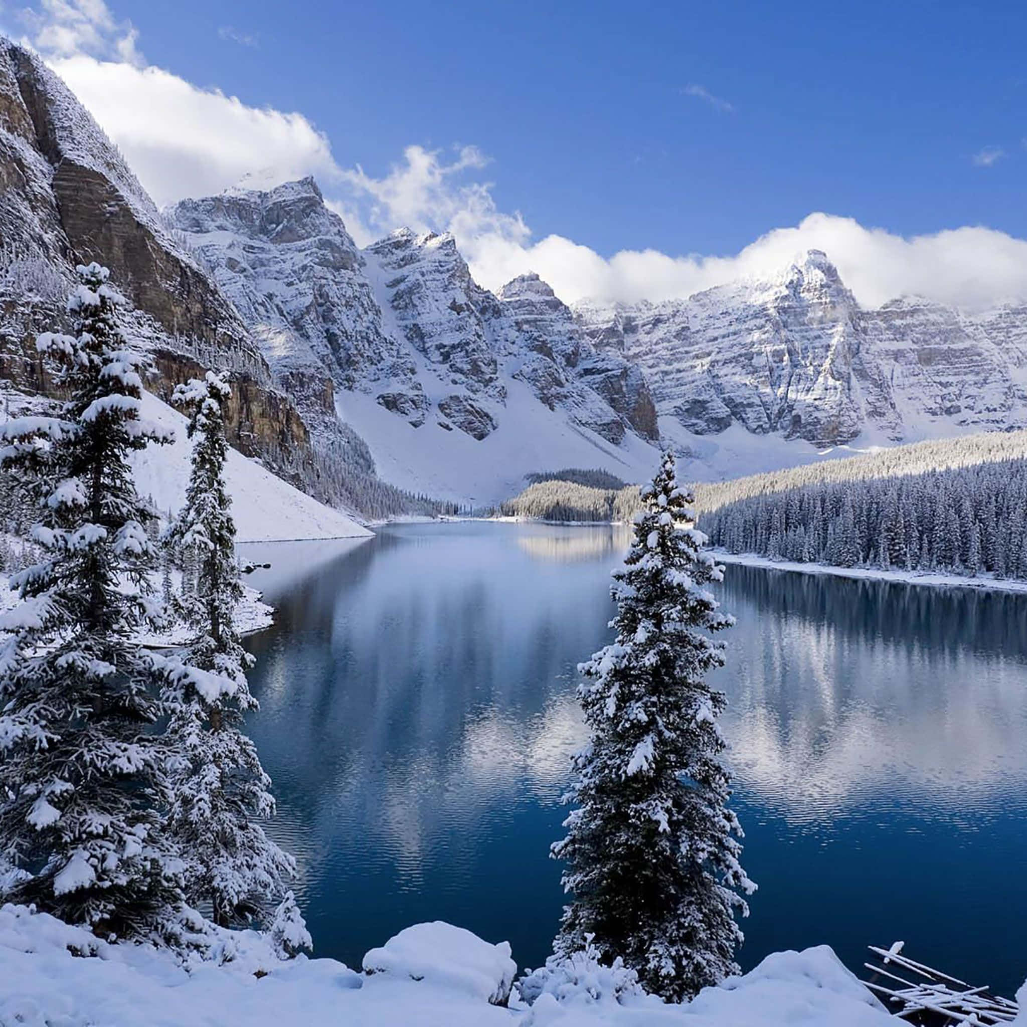 Winter Scene 桌布 壁紙 — 積雪的山峰在平靜的藍色湖泊後方升起，湖泊倒映著雲朵，而積雪的常綠樹木則框住了前景。