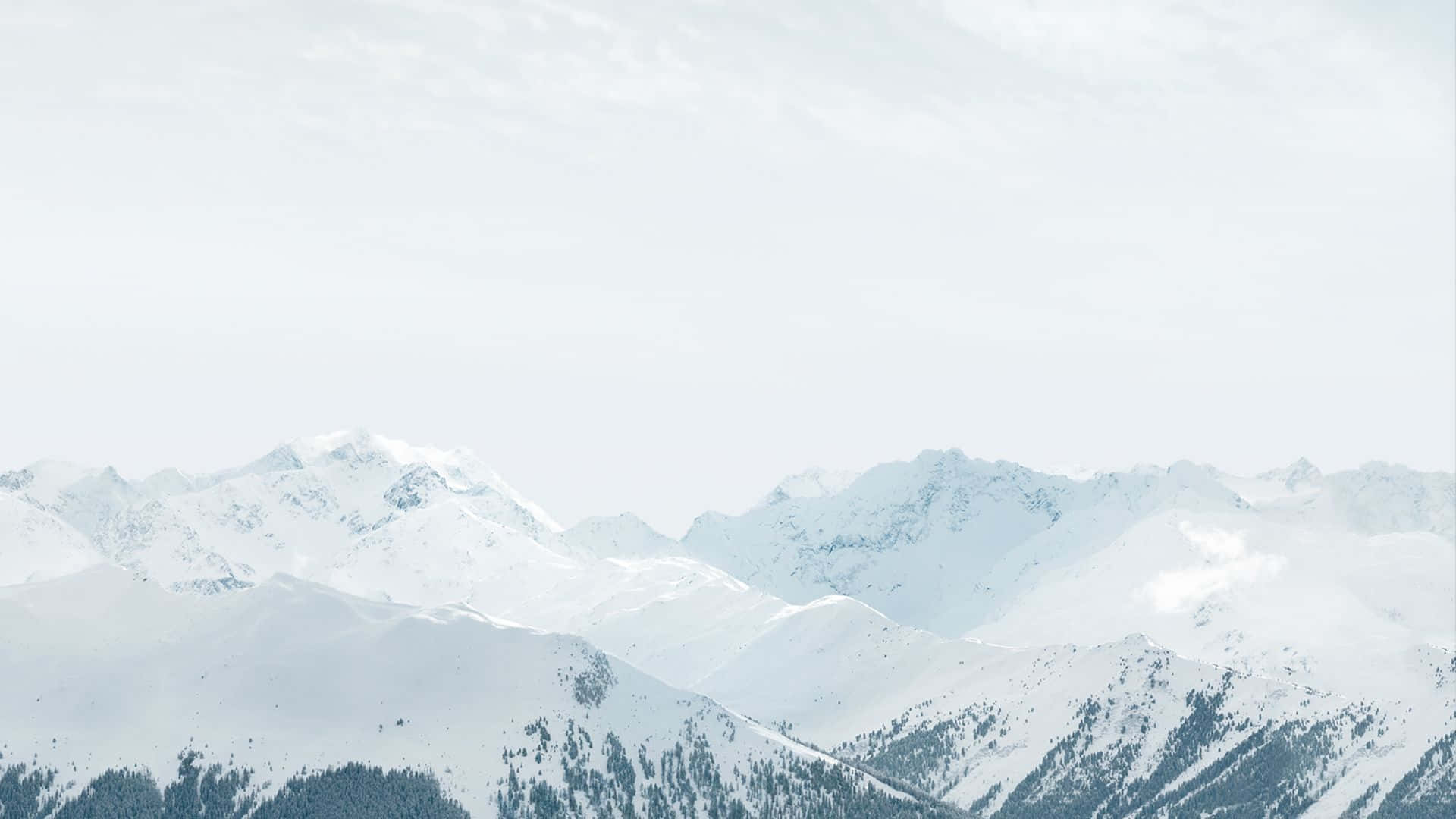 桌布 壁紙 — 積雪的山峰在柔和的多雲天空下聳立，常綠森林依附在較低的山坡上。