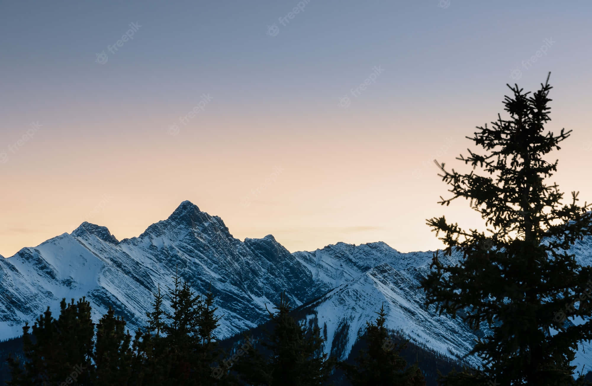 風景 桌布 壁紙 — 積雪的山峰在柔和的暮色天空中聳立，被深色松樹的剪影框住。