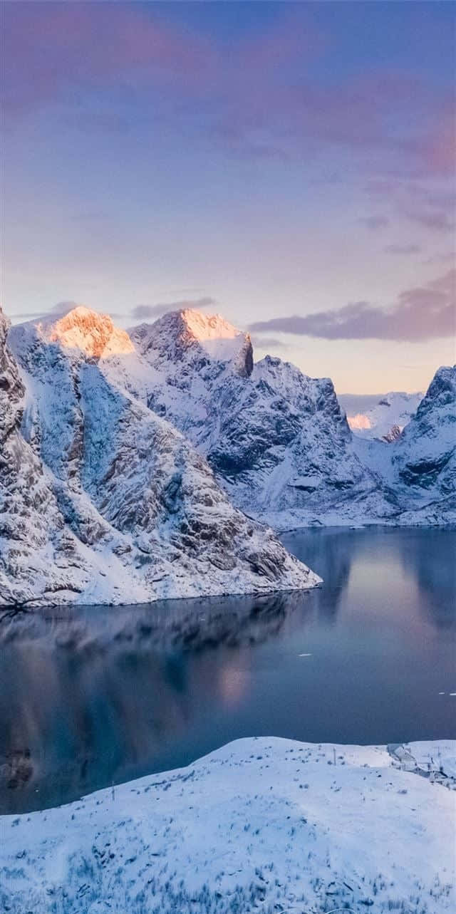 挪威 桌布 壁紙 — 積雪的山峰在柔和的紫色天空下，金色的日出光芒映照在平靜的冰湖上，閃閃發光。