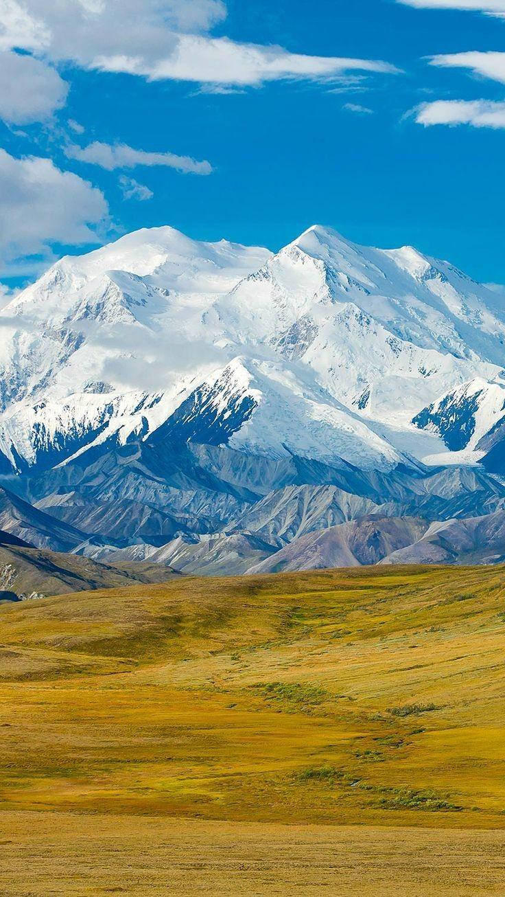 山脈 桌布 壁紙 — 積雪的山峰在藍天白雲下，雄偉地聳立在金色草原之上。