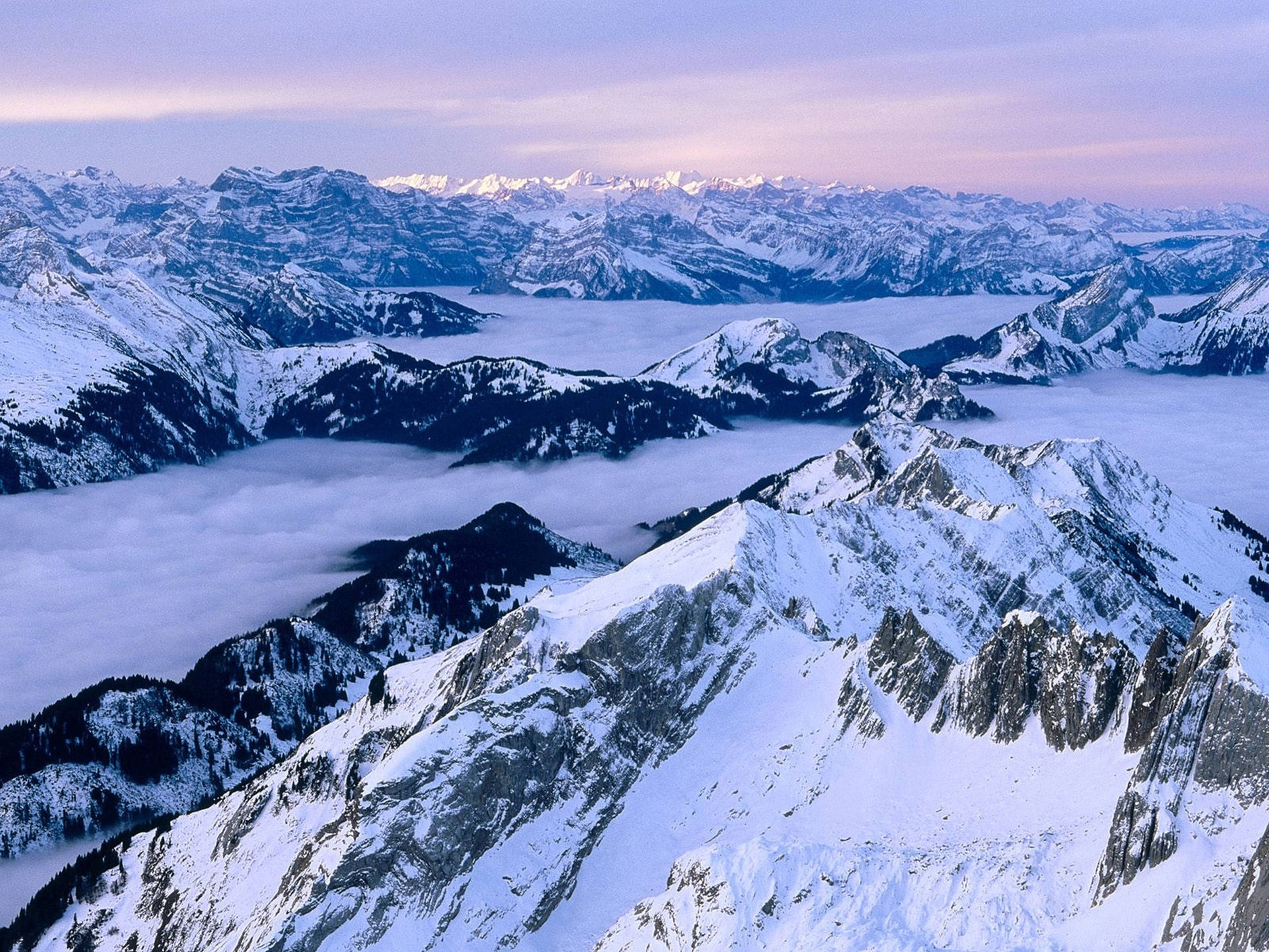 Alps 桌布 壁紙 — 積雪的山峰在黎明時分穿透雲海，呈現柔和的紫色和藍色色調。