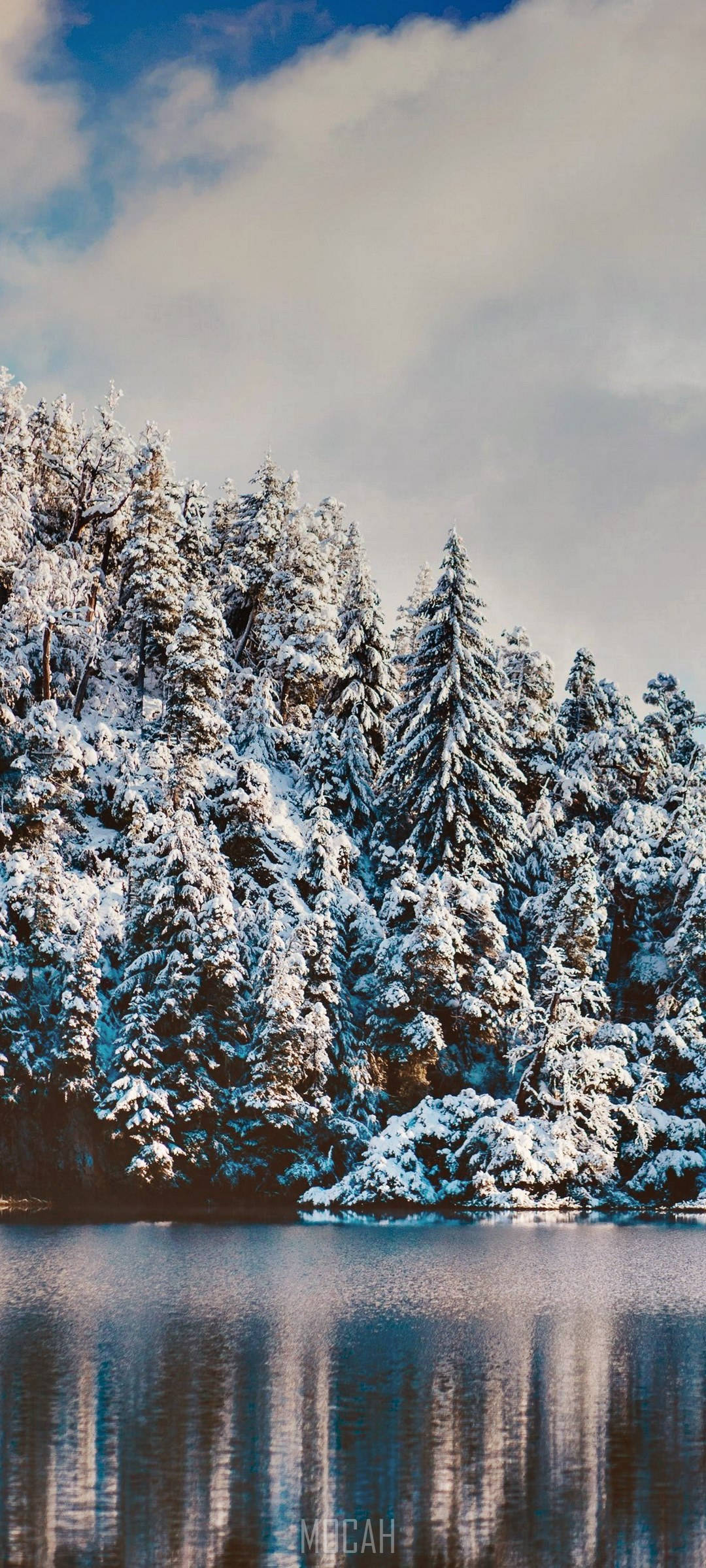 森林 桌布 壁紙 — 積雪的常綠樹在陰天之下完美倒映在平靜的冬季湖泊中。