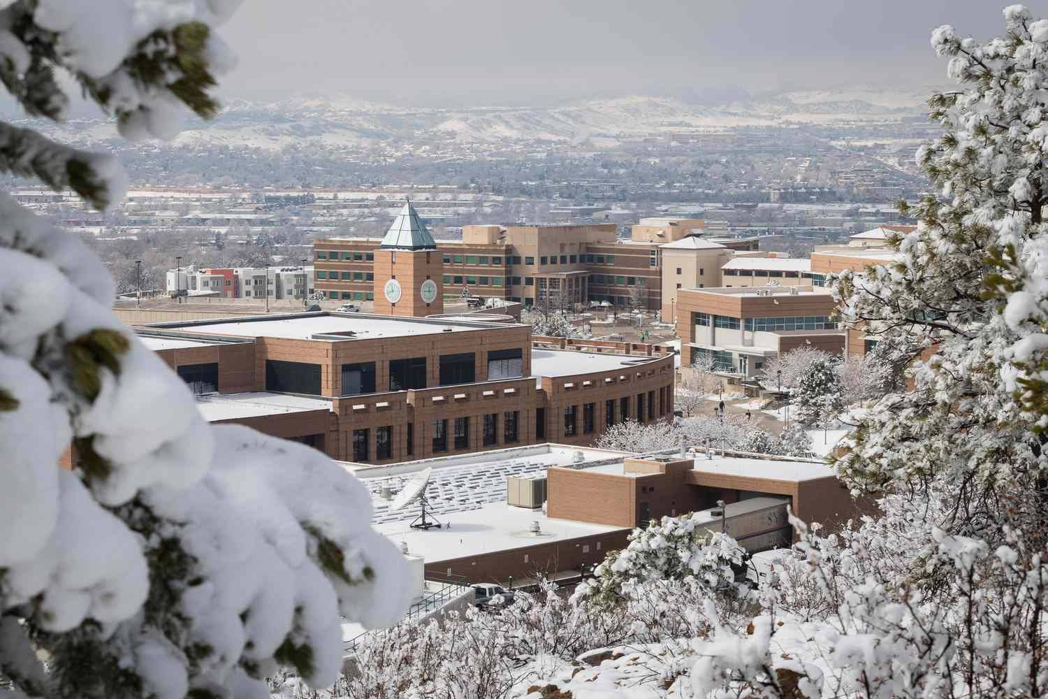 冬天 桌布 壁紙 — 積雪的松樹枝條框住一個廣闊的大學校園，內有磚砌建築和鐘樓，背景是朦朧的冬日天空。