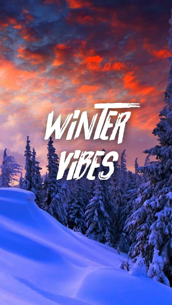 氛圍 桌布 壁紙 — 積雪的松樹矗立在火紅和橙色的日落天空下，粗體白色文字寫著 winter vibes。