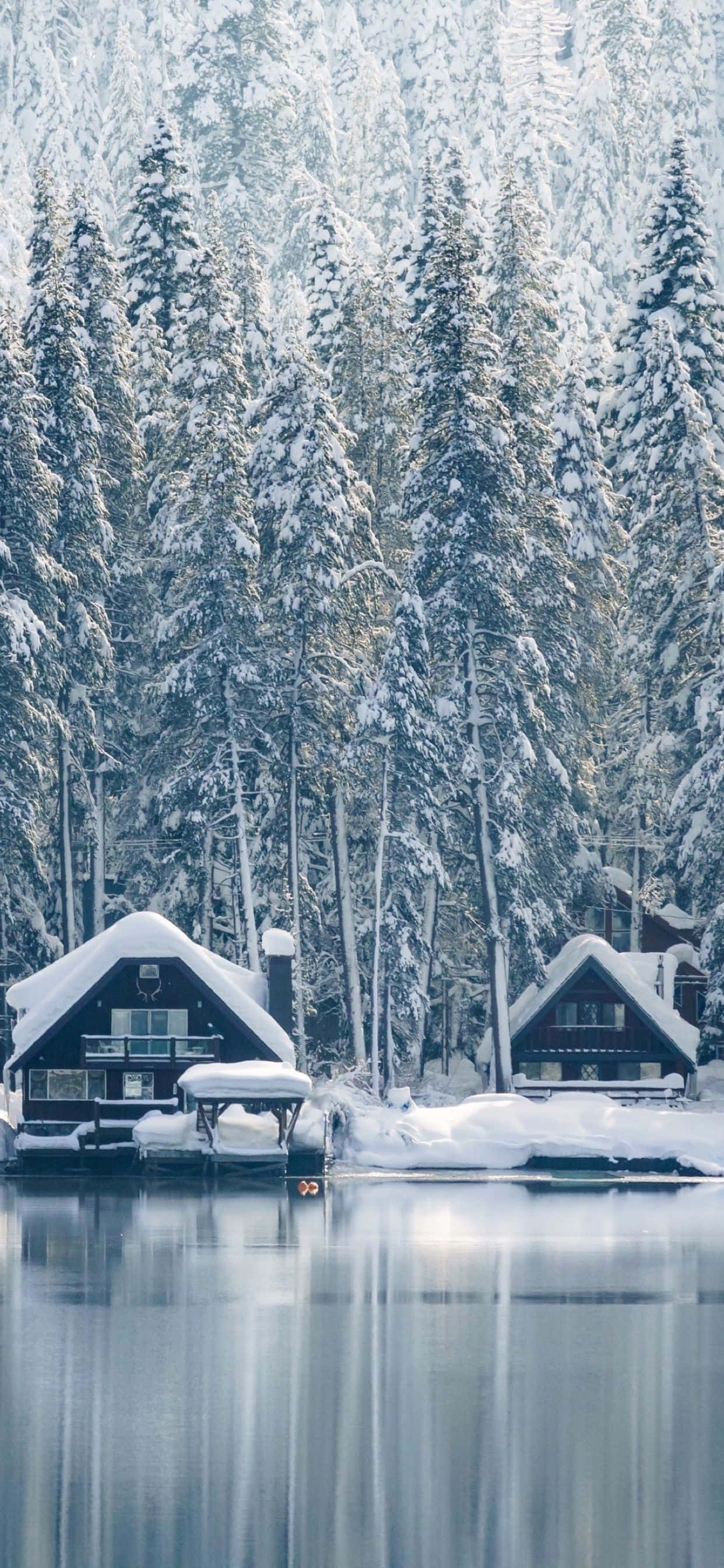 Snow iPhone 桌布 壁紙 — 積雪覆蓋的小屋在冰凍的湖面上寧靜地倒映，周圍是高聳的松樹，在柔和的冬日天空下。