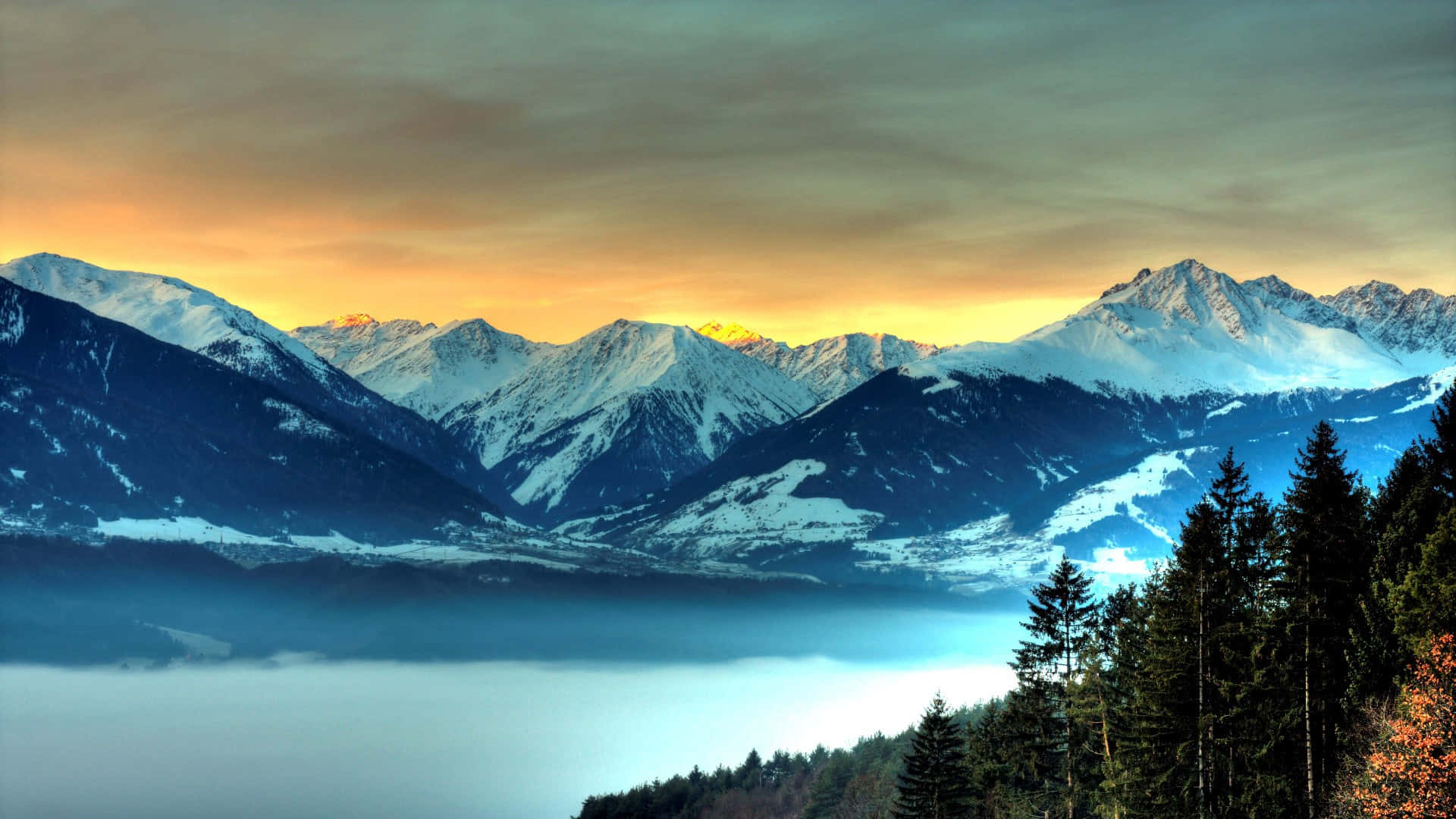 山景 桌布 壁紙 — 積雪覆蓋的山峰在日出時從霧海中升起，金色的光芒描繪著山頂和前景的常青樹。