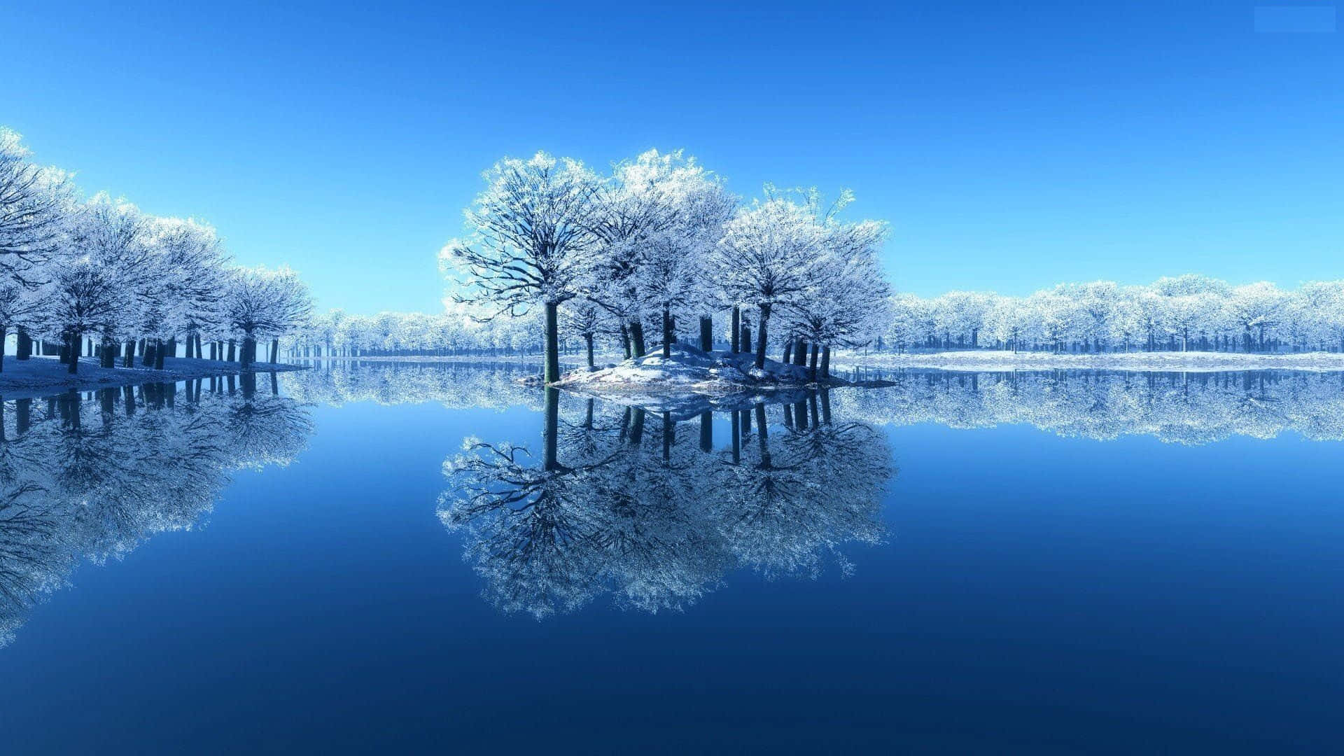 Winter Blues 桌布 壁紙 — 積雪覆蓋的樹木矗立在結冰的湖面上，天空清澈湛藍，完美鏡面倒影。