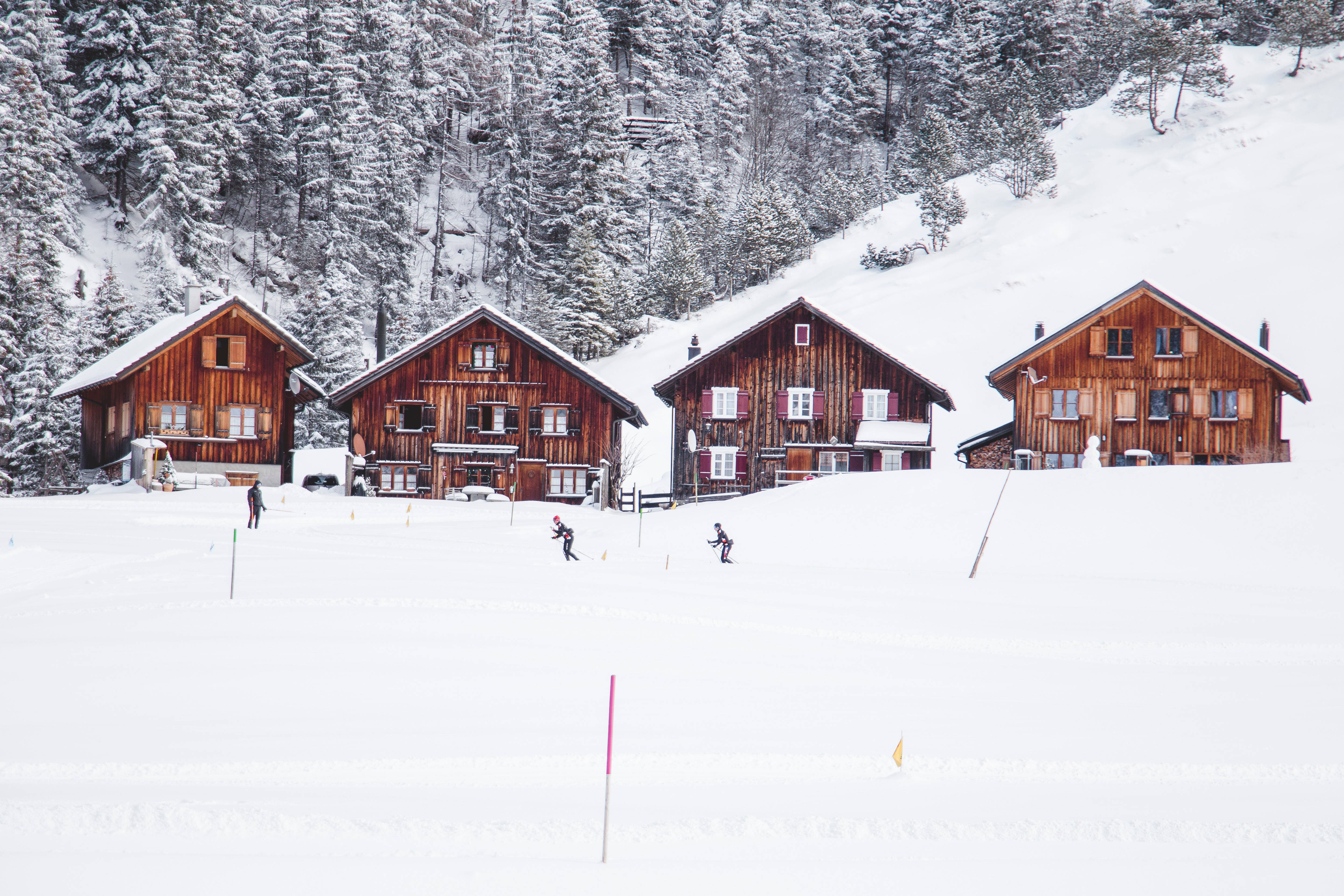 Liechtenstein 桌布 壁紙 — 積雪覆蓋的阿爾卑斯山小木屋，滑雪者在常青樹下沿著純白斜坡滑行。