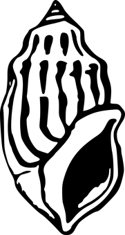 空白影像檔案 壁紙