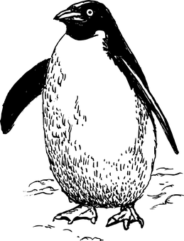 空白黑色畫布 壁紙