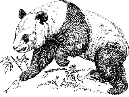空白黑色畫布 壁紙