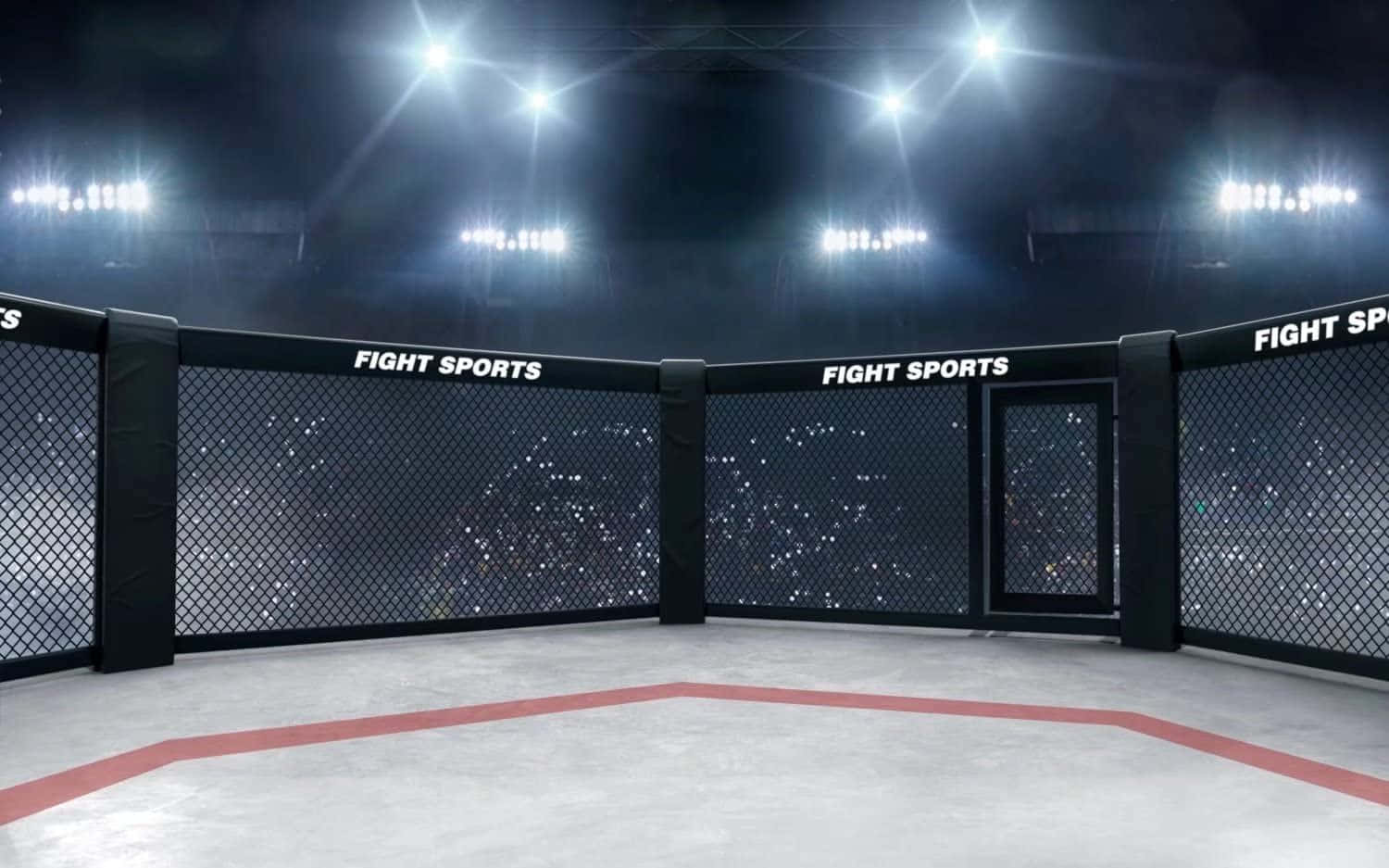 UFC 桌布 壁紙 — 空蕩蕩的MMA八角籠，在明亮的場館燈光下，透過籠網可見歡呼的人群。