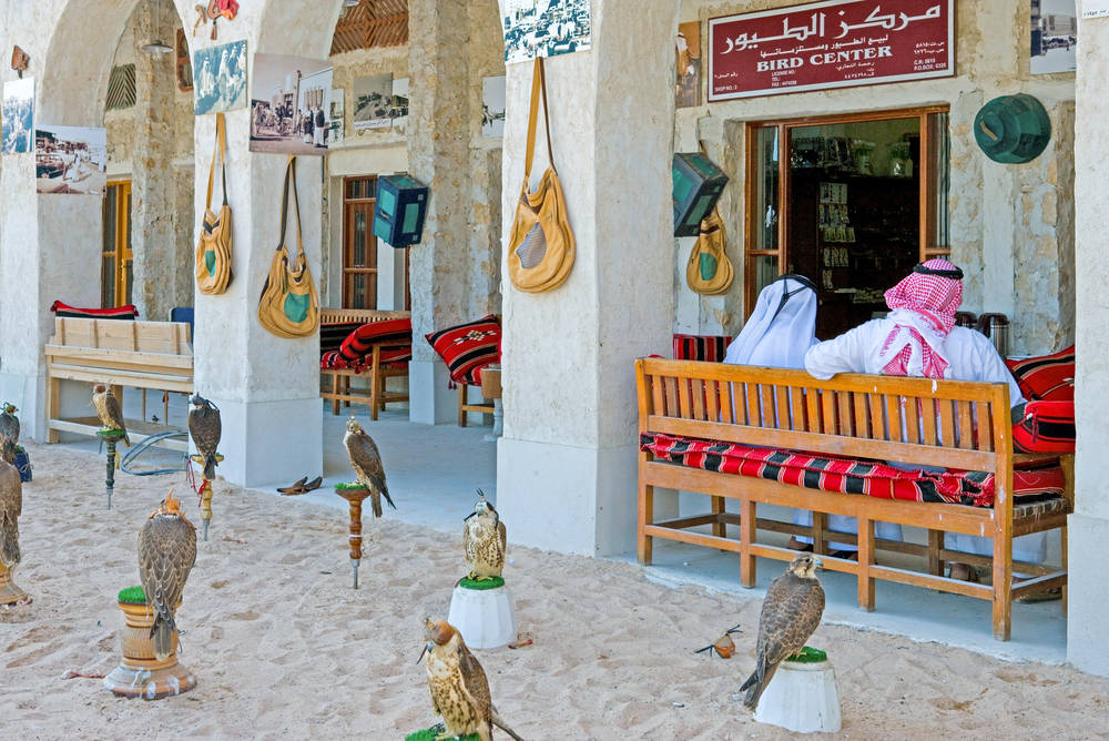 Qatar 桌布 壁紙 — 穿著傳統服飾的獵鷹者坐在木凳上，旁邊是擺放在石庭院陽光下基座上的標本獵鷹。