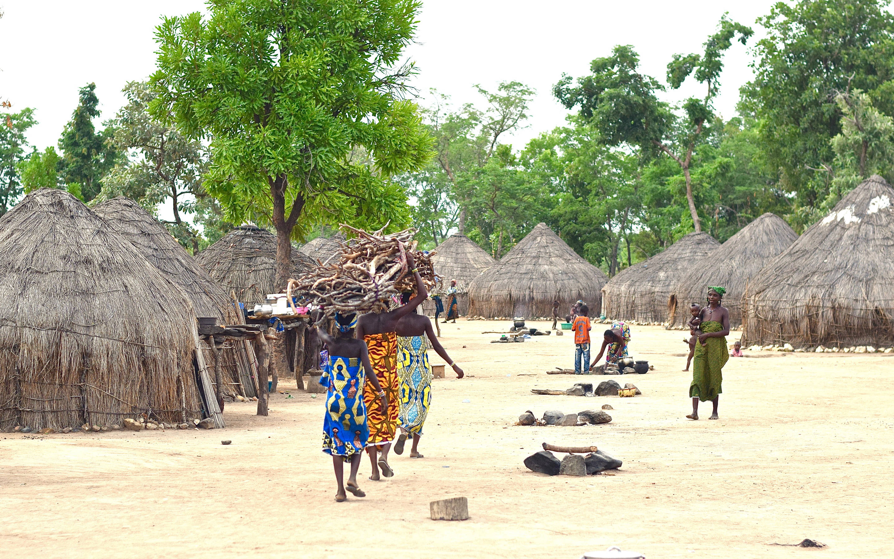 Nigeria 桌布 壁紙 — 穿著圖案裙子的活力女性在陽光明媚的非洲村莊中，經過茅草屋搬運柴火。