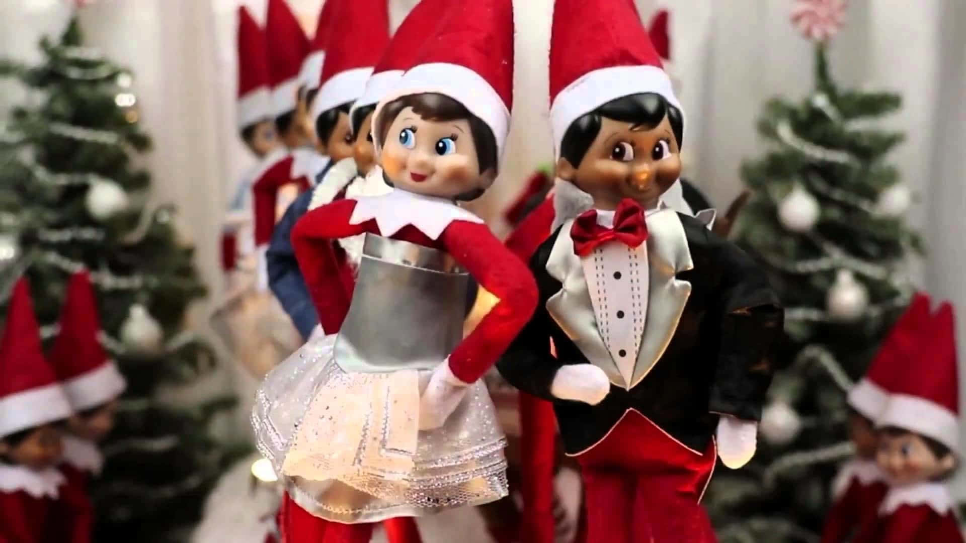 Christmas Elf 桌布 壁紙 — 穿著節日服裝的精靈公仔在室內裝飾的聖誕樹之間愉快地擺姿勢。