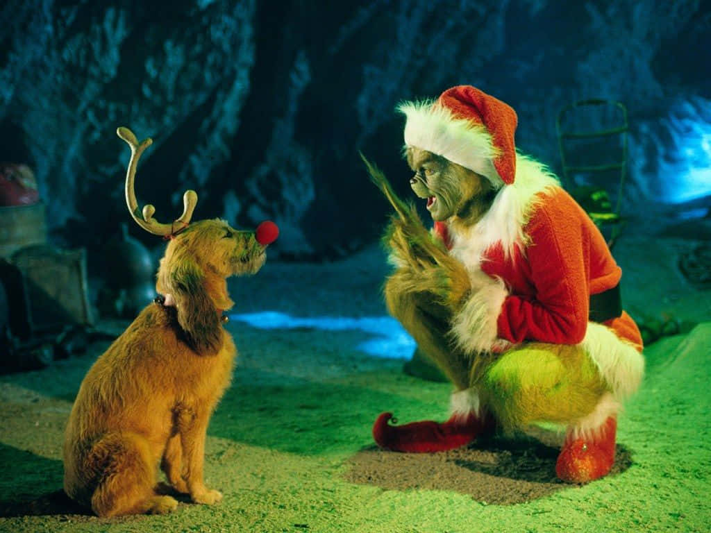 The Grinch 桌布 壁紙 — 穿著聖誕老人服的鬼靈精在洞穴中跪下，對著一隻戴著馴鹿角和紅鼻子的狗大喊。